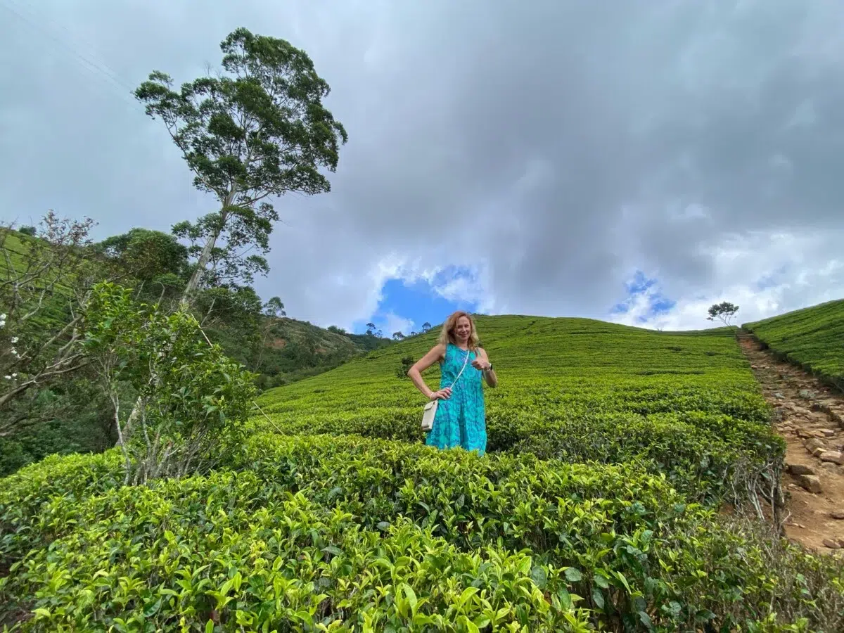 Sri Lanka in January: Weather, Where to Go and Events