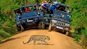 Wilpattu National Park