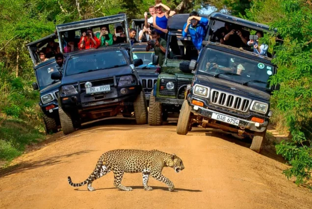 Wilpattu National Park