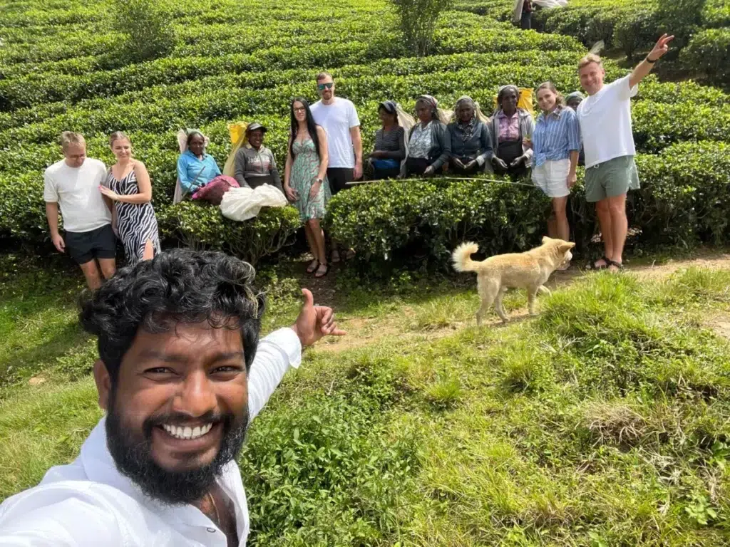 Travel group standing among tea bushes on a Sri Lankan tea estate