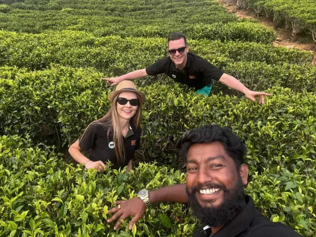 Three smiling people among green tea bushes, with a man in the foreground taking a selfie