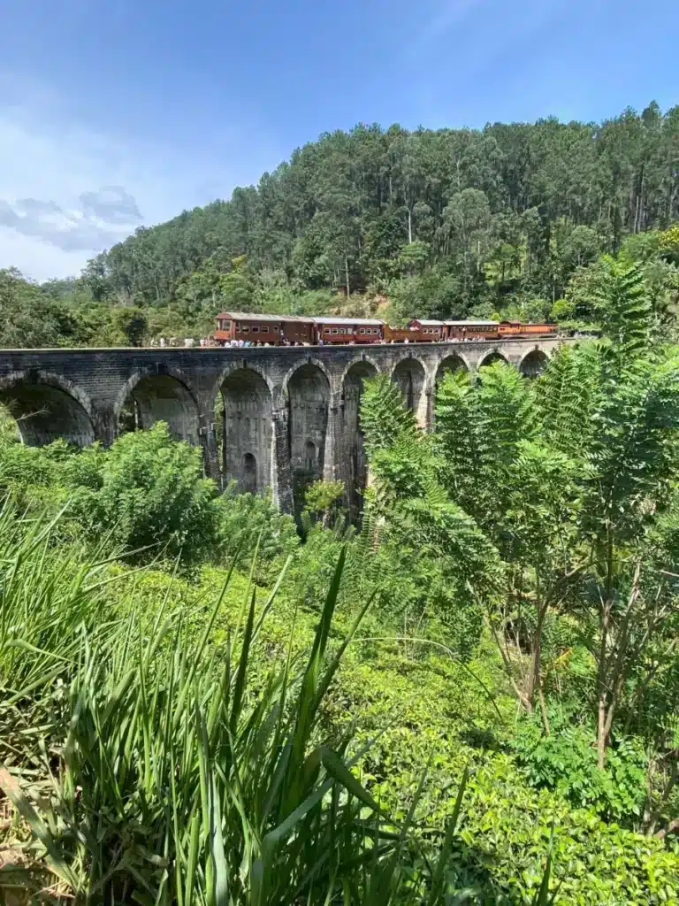 A train of reddish-brown carriages crossing the Nine Arches Bridge, a tall stone viaduct, with a forested hill behind and green bushes in the foreground