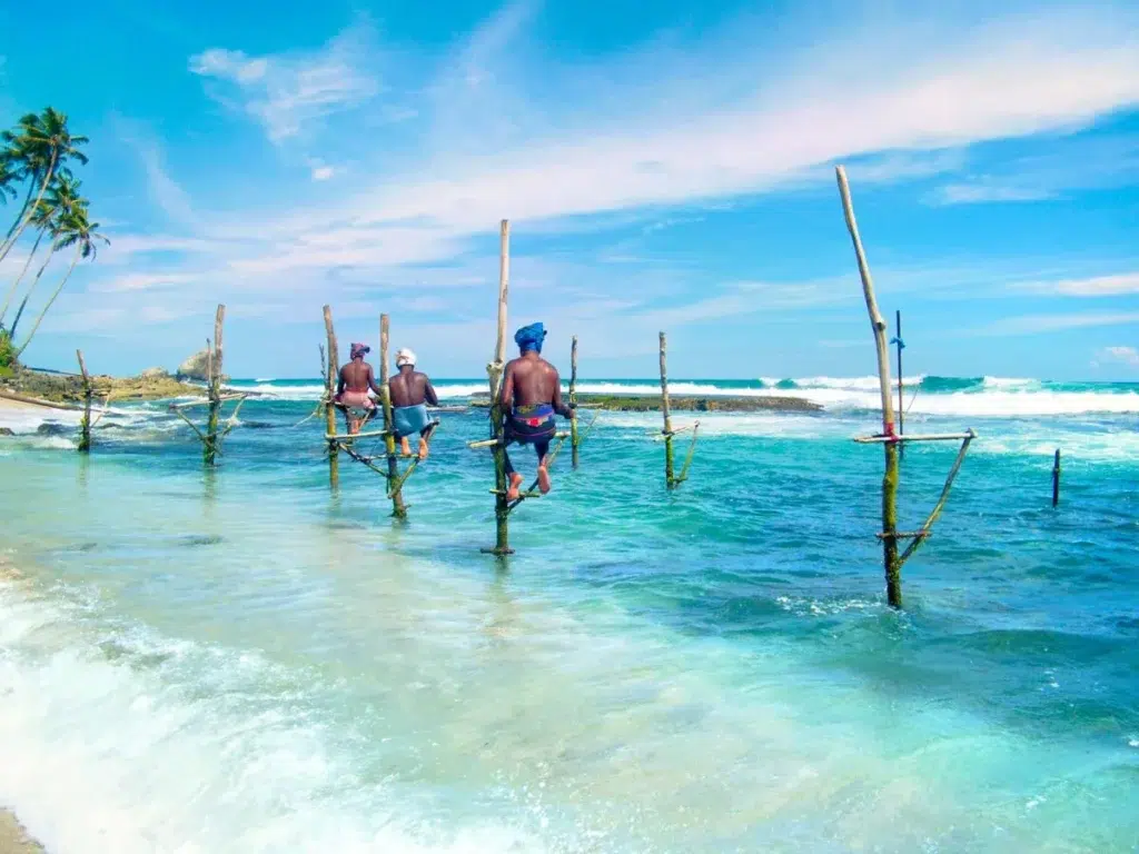 Stilt fishermen on the south coast near Weligama