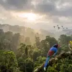 birding trips in February