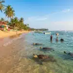 hikkaduwa sri lanka