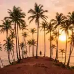 mirissa beach sri lanka