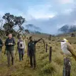 sri lanka birding trip reports
