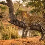 sri lanka itinerary 14 days