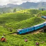 visiting sri lanka