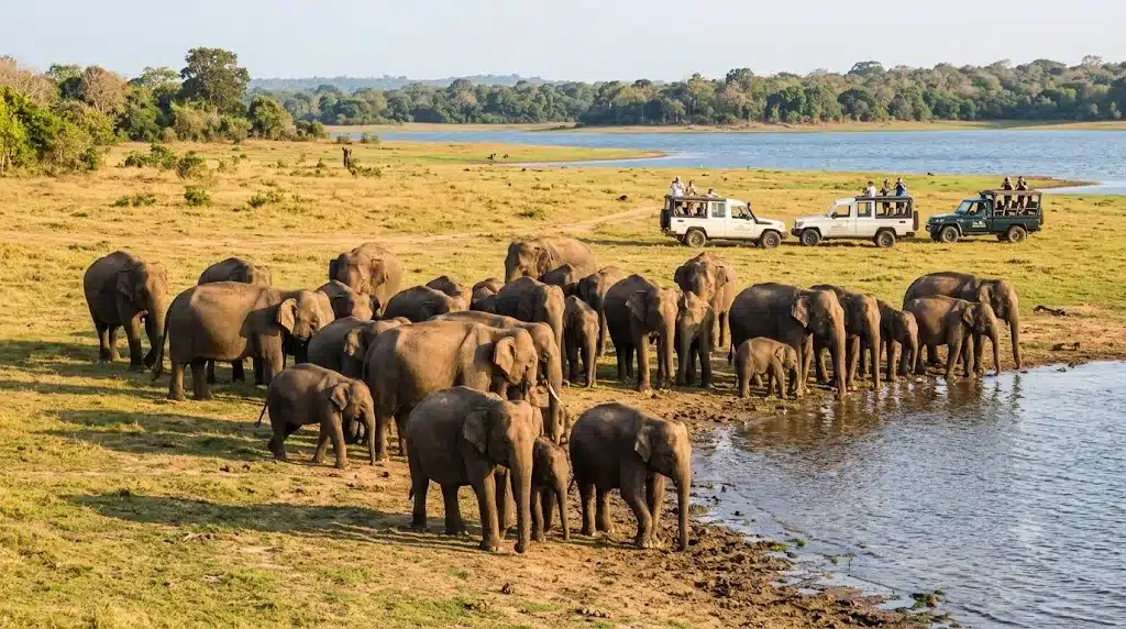 Sri Lanka in August